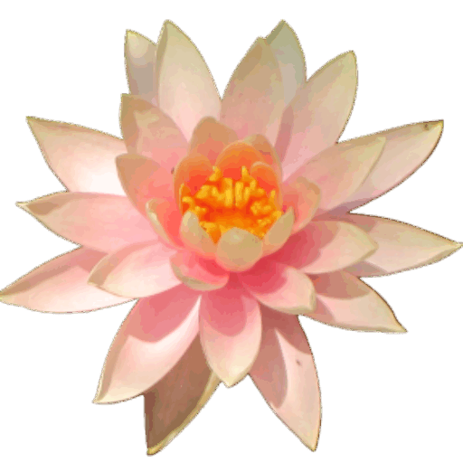 Sahaja Joga Slovenija